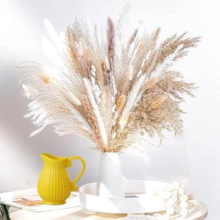 Lot d'herbe de pampa : charme bohème chic