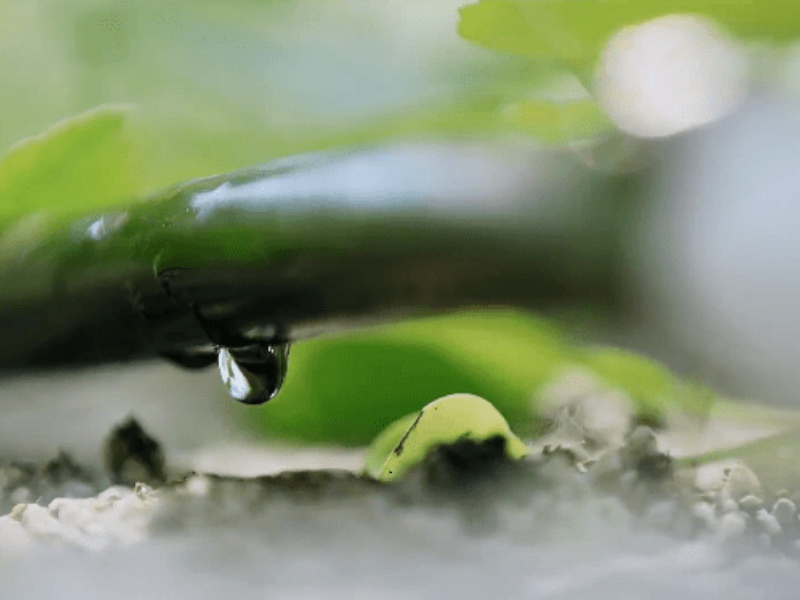 Integrating water and fertilizer, transforming water-saving irrigation from slogans to actions