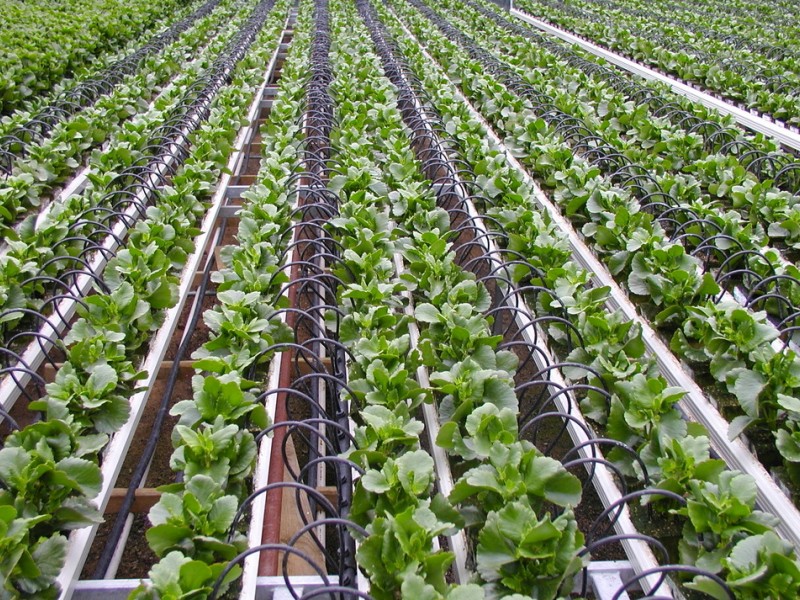 farm irrigation systems