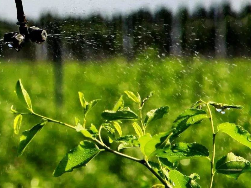 The 9th Beijing Irrigation Exhibition of China Irrigation Development Conference and Runjing Intelligent Irrigation Valve has opened grandly!