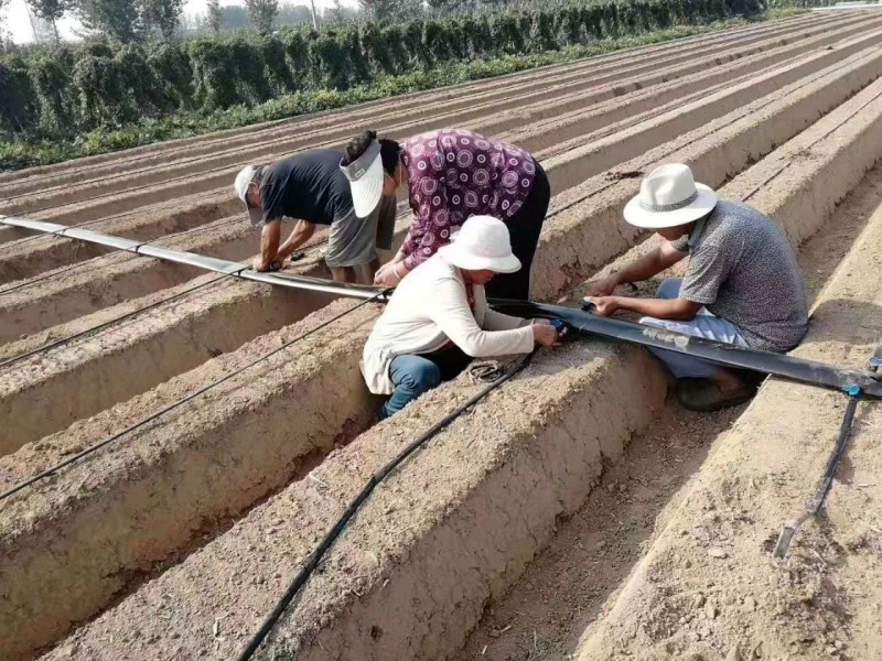 Runxing focuses on water-saving equipment and contributes to the sustainable development of agriculture