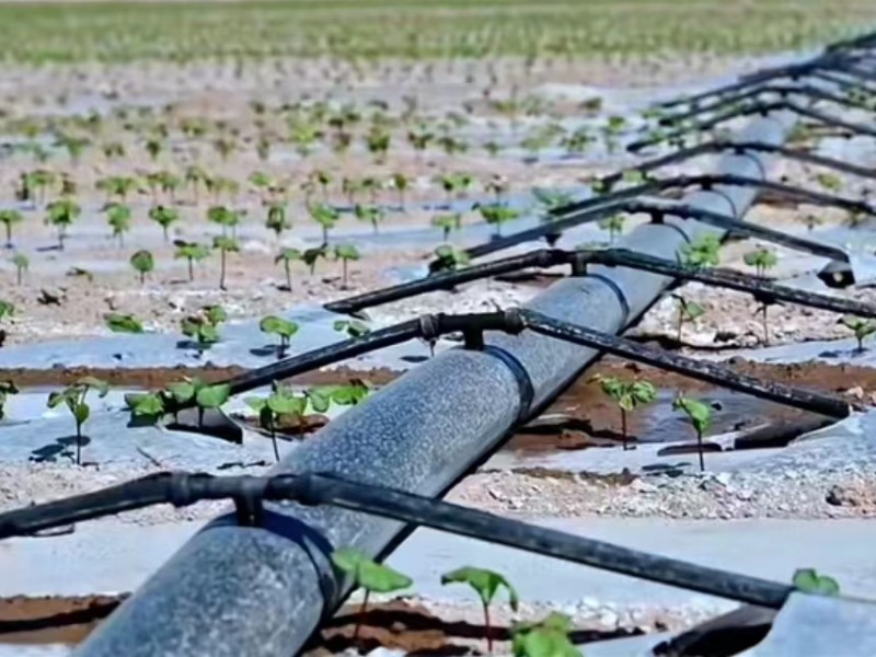 drip irrigation system