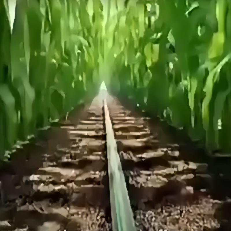 Runxing water-saving irrigation