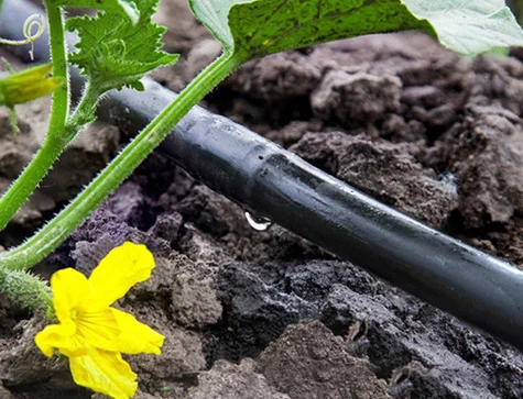 drip irrigation pipe