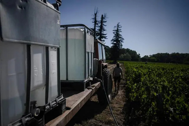 Water irrigation for vineyards