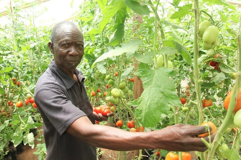 water-saving irrigation