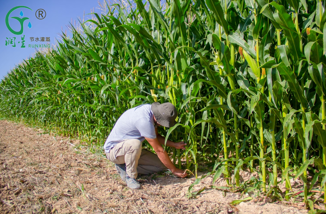 water-saving irrigation