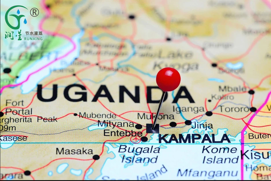 Uganda drip irrigation market analysis