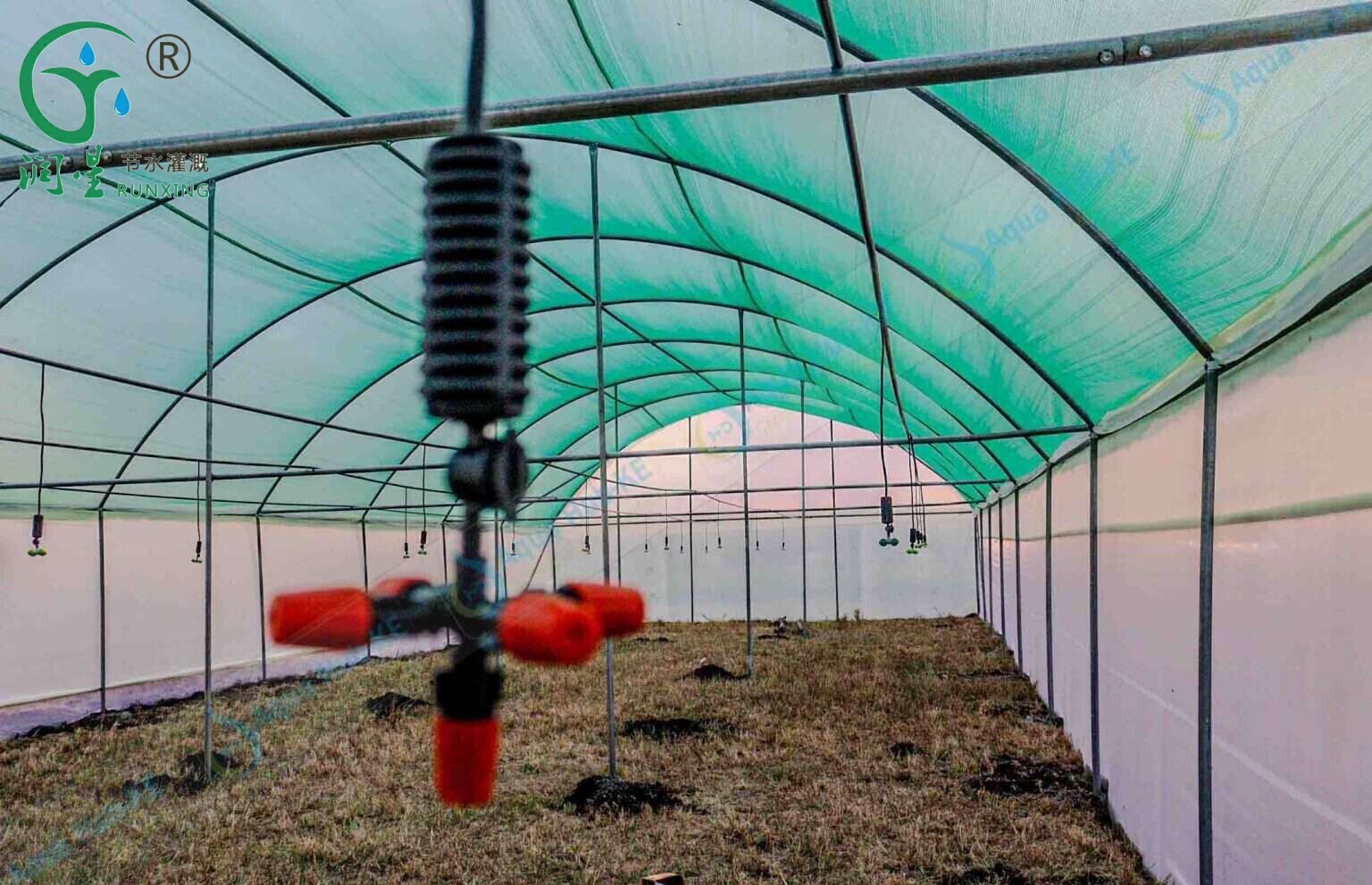 Irrigation Systems for Greenhouse Farming in Algeria