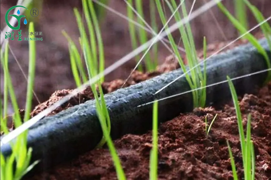 Rain Tube Irrigation System