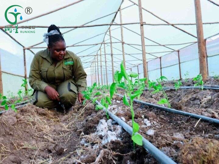 Americas agriculture