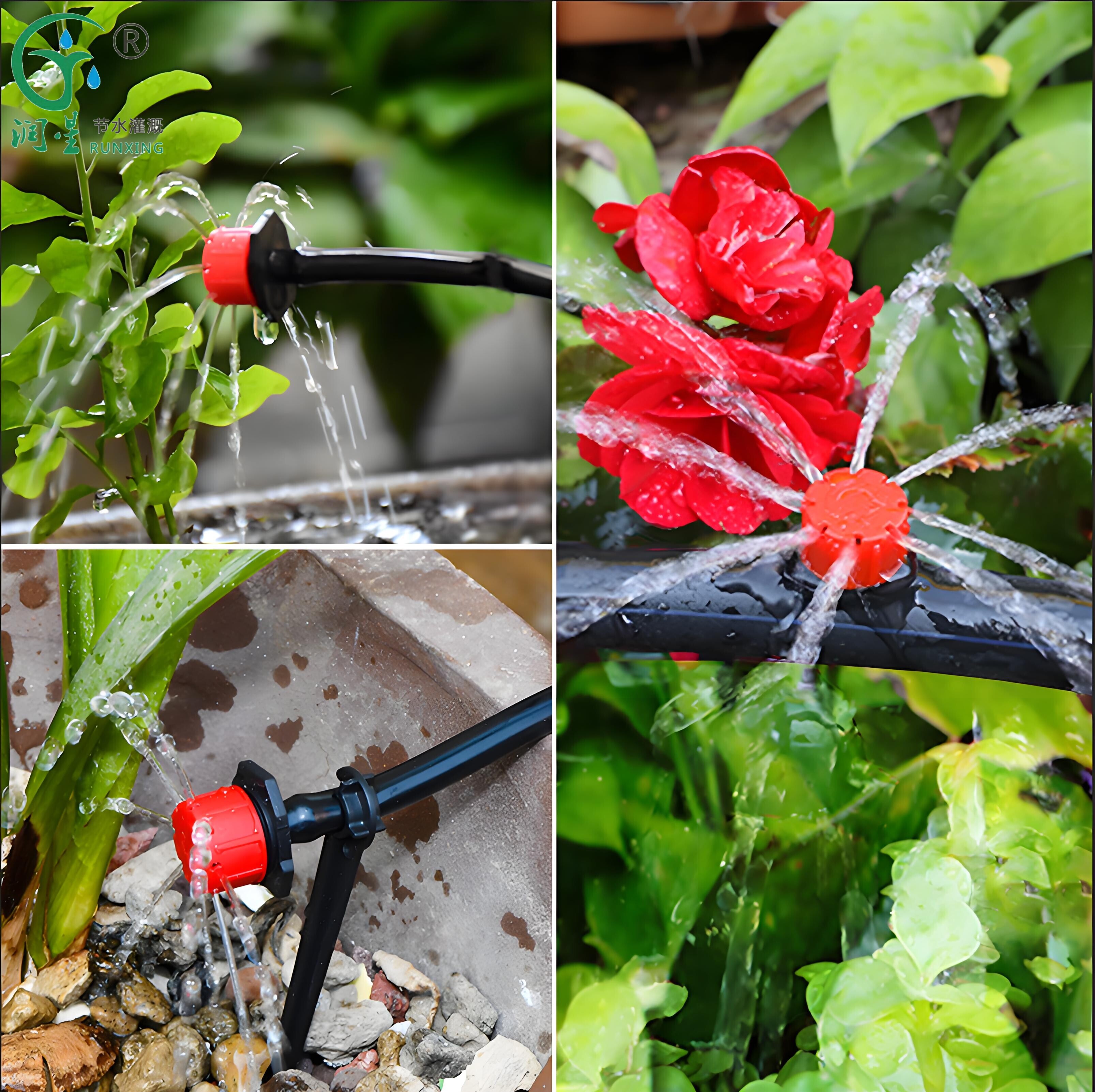 Micro Sprinklers and Drip Irrigation for Orchards