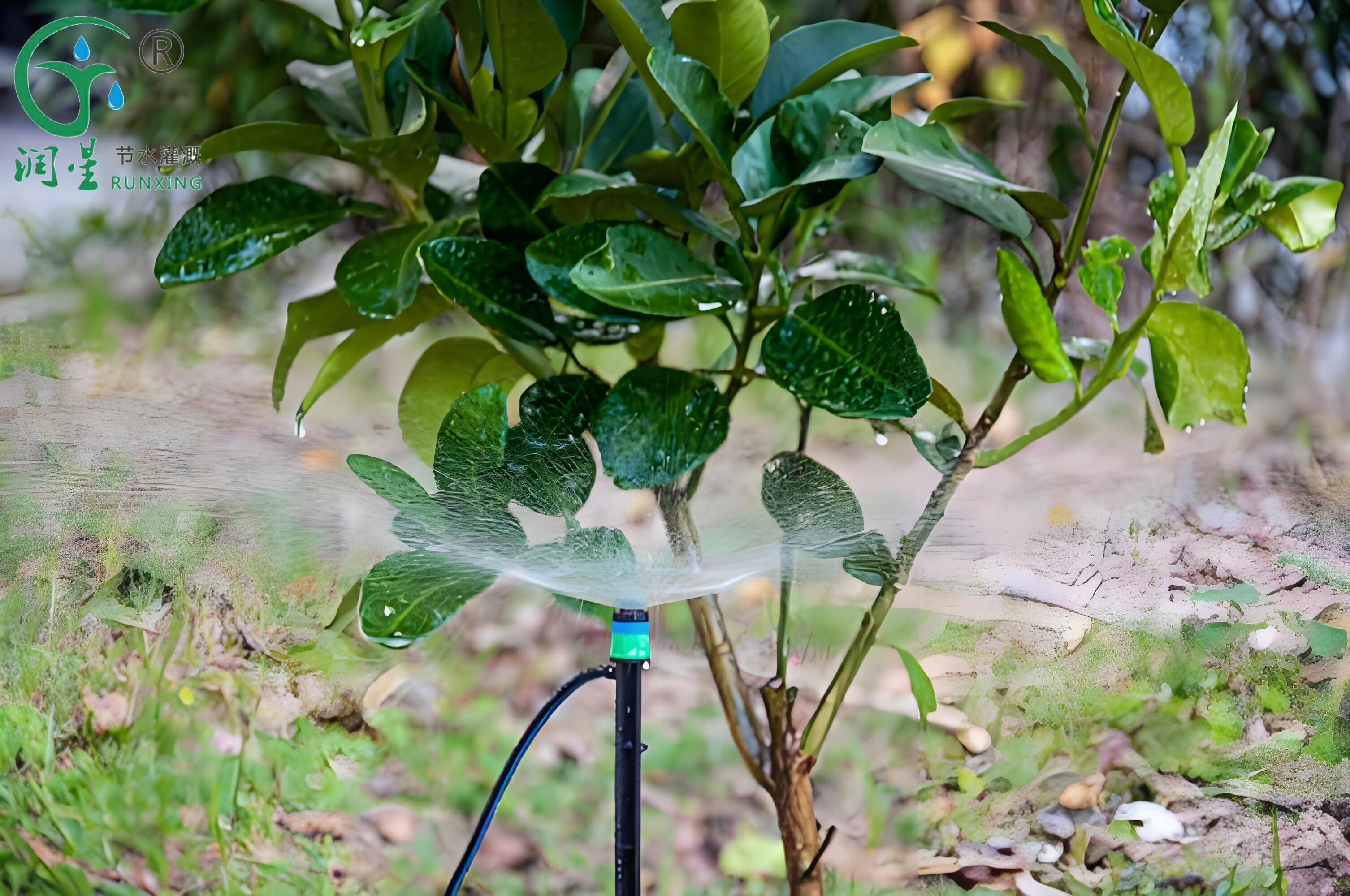 micro sprinklers