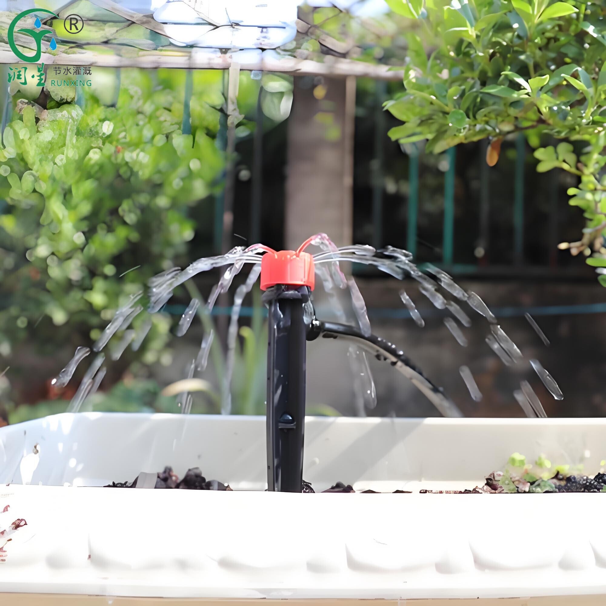 drip irrigation