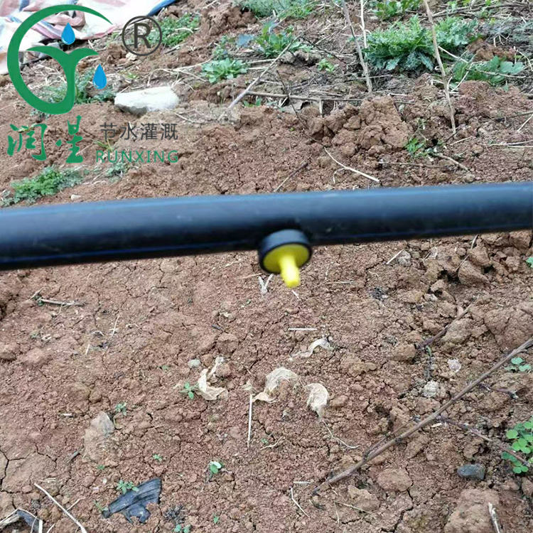 underground pressure-compensating drip irrigation tube