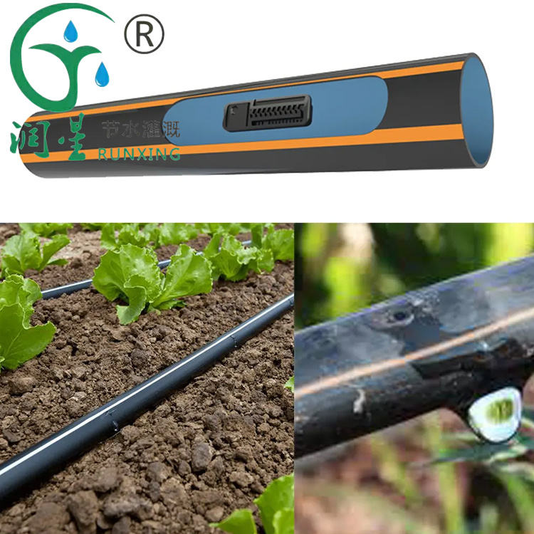 underground pressure-compensating drip irrigation tube