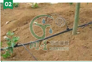 underground pressure-compensating drip irrigation tube