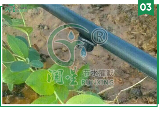 Pressure-compensating drip irrigation tube