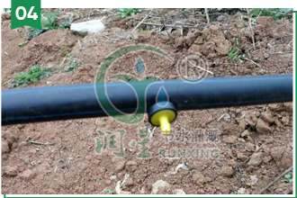 inline cylindrical drip irrigation tube