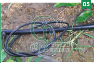 underground pressure-compensating drip irrigation tube