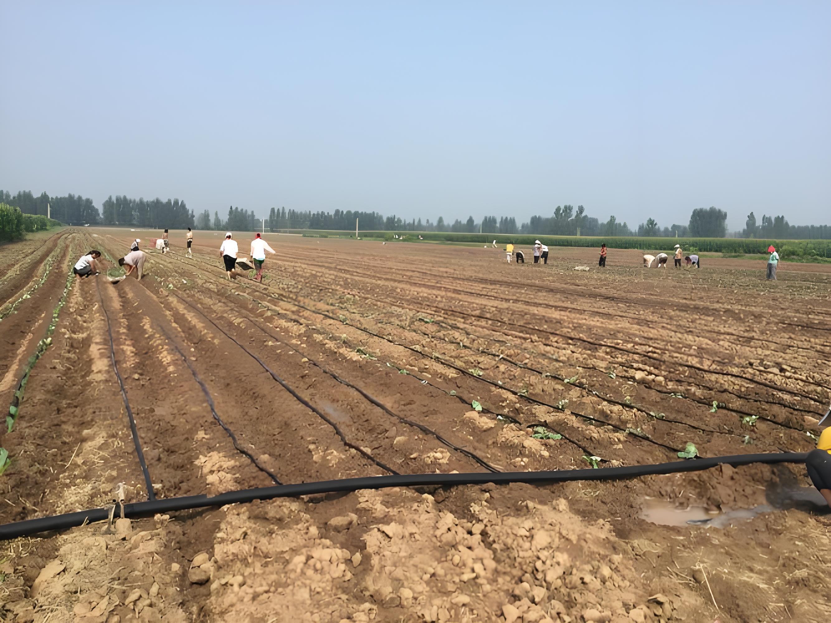 Thirsty Land? Low Yields? High Costs? This 