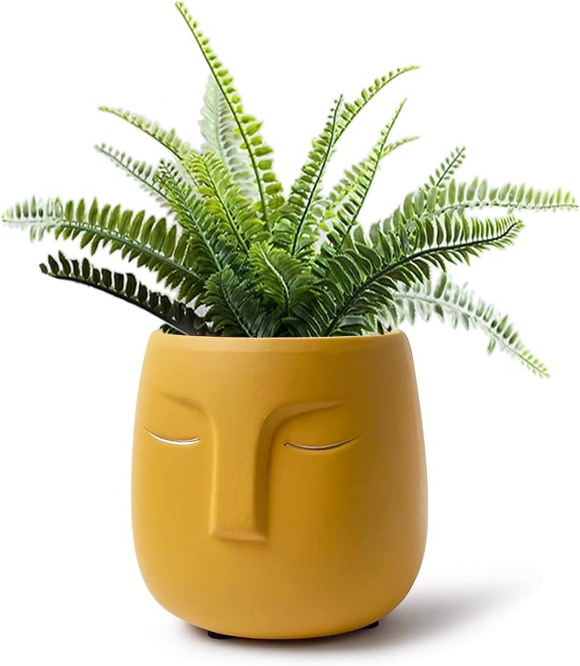 Modern Creative Ceramic Face Shaped Flower Pot Ceramic Flower Pot Home Decor