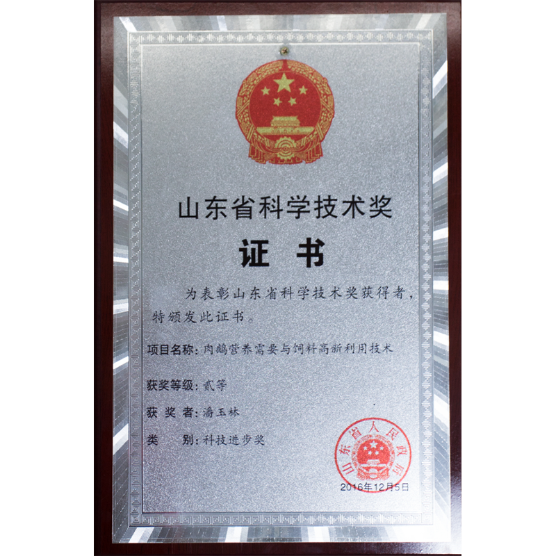 Shandong Province Science and Technology Award Certificate