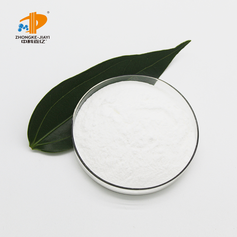 Freeze-Dried Probiotic Powder Lactobacillus Fermentum