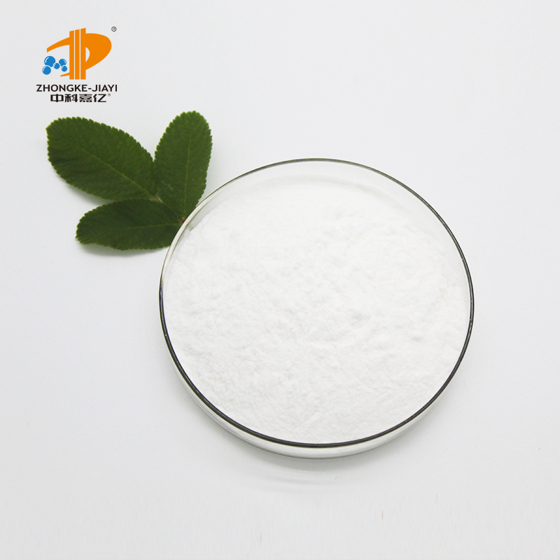 Freeze-Dried Probiotic Powder Lactobacillus Fermentum