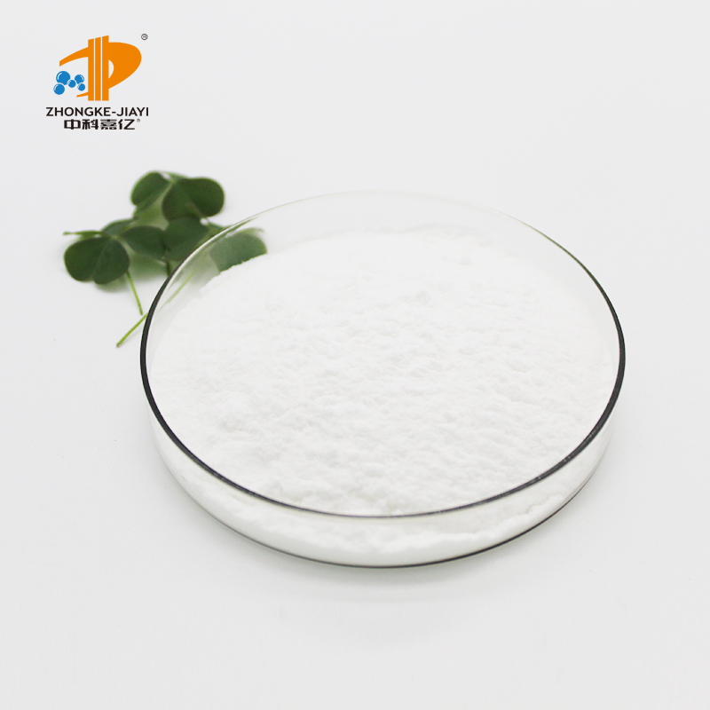 Freeze-Dried Probiotic Powder Lactobacillus Fermentum