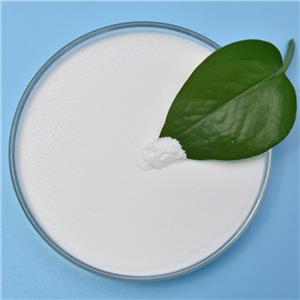 Weight Management Probiotic Powders OEM