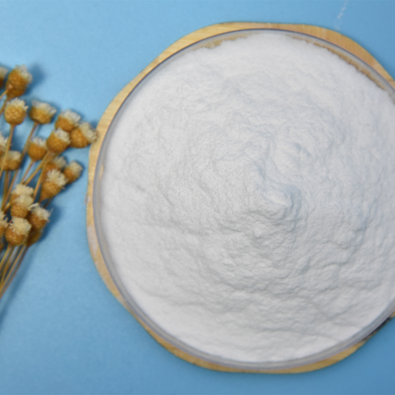 Freeze-Dried Probiotic Powder Lactobacillus Bulgaricus