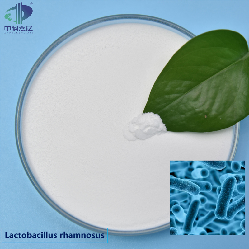 Freeze-Dried Probiotic Powder Lactobacillus Rhamnosus
