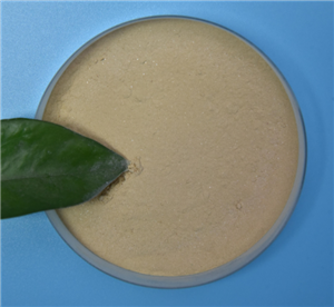 Freeze-Dried Probiotic Powder Bacillus Coagulans