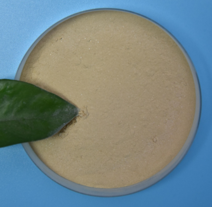 Freeze-Dried Probiotic Powder Bacillus Coagulans