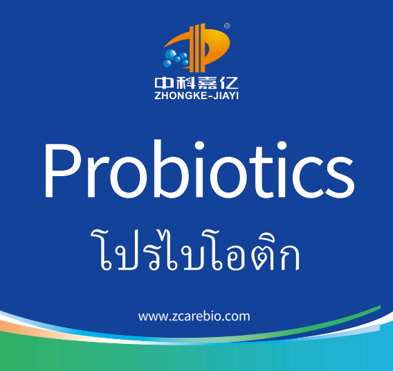 freeze dried probiotics powder