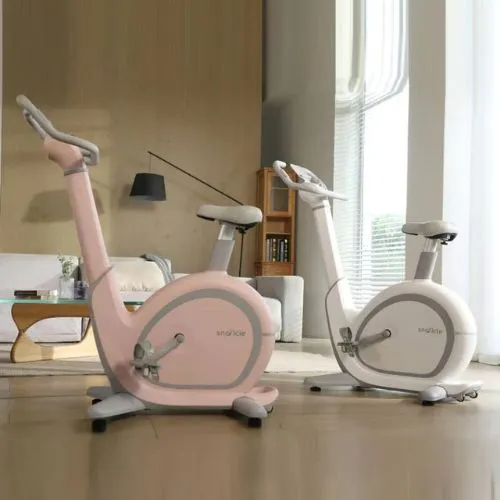 stationary bike for home