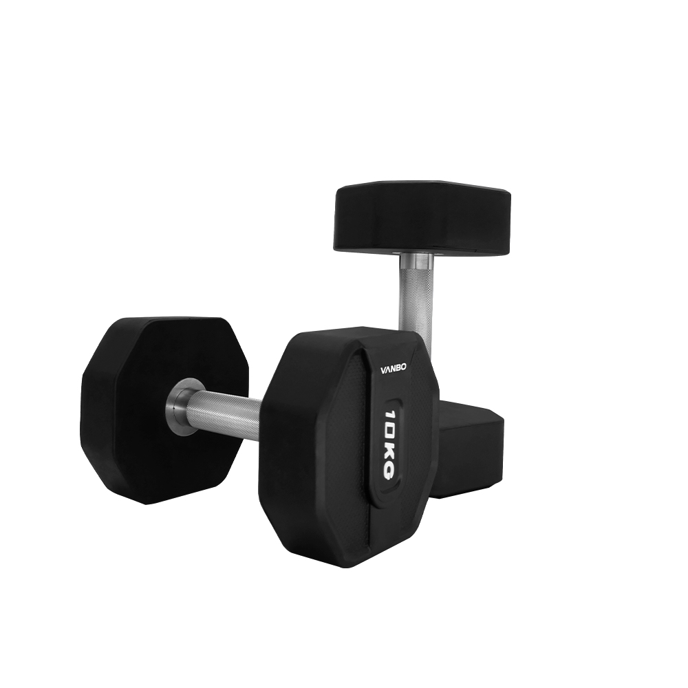 Professional Strength Dumbbells for Gym