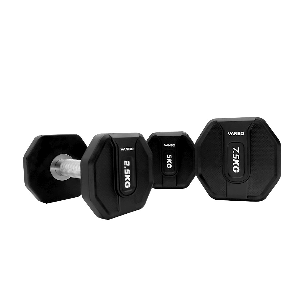 Professional Strength Dumbbells for Gym