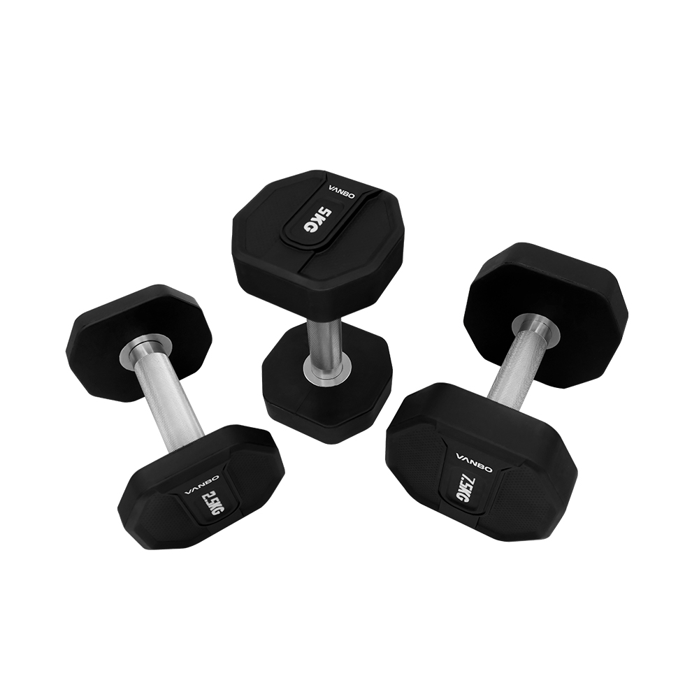 Professional Strength Dumbbells for Gym