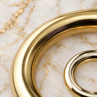 HEFT 178 Gold Tone Round Rings for Bags