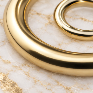 HEFT 178 Gold Tone Round Rings for Bags