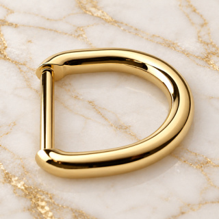 HEFT 834 Gold Tone Rounded D Ring for Bags