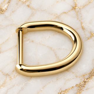 HEFT 834 Gold Tone Rounded D Ring for Bags