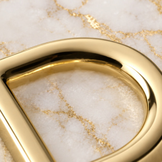 HEFT 835 Gold Tone Flat D Ring for Bags