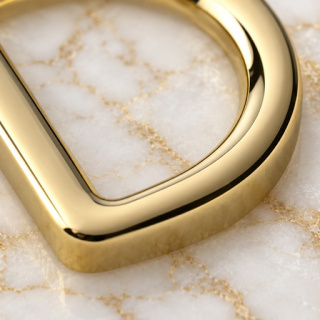 HEFT 835 Gold Tone Flat D Ring for Bags