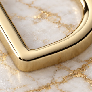 HEFT 835 Gold Tone Flat D Ring for Bags