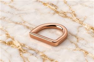 HEFT 900 Rose Gold Tone D Ring for Bags