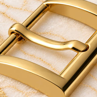 HEFT 838 Stainless Steel Pin Buckle