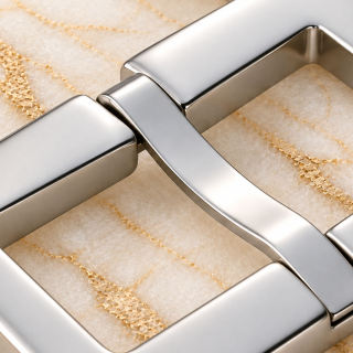 HEFT 583 Stainless Steel Pin Buckle